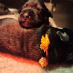 WhatsApp Image 2026-03-13 at 19.15.36 (4)