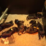 WhatsApp Image 2026-03-13 at 19.15.37