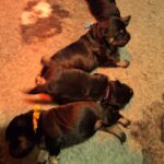 WhatsApp Image 2026-03-13 at 19.15.39